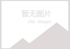 临夏女孩会计有限公司